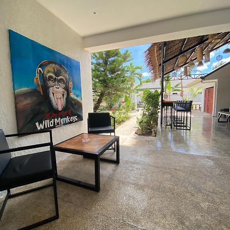 Wild Monkeys Hostel Moalboal Luaran gambar