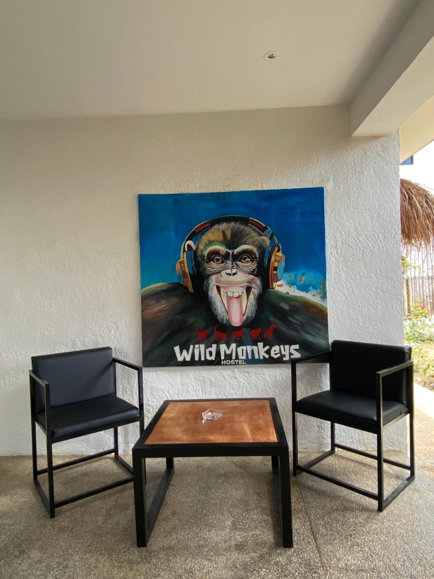 Wild Monkeys Hostel Moalboal Luaran gambar